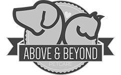 Above & Beyond Petcare